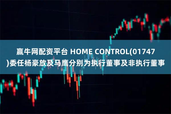 赢牛网配资平台 HOME CONTROL(01747)委任杨豪放及马鹰分别为执行董事及非执行董事