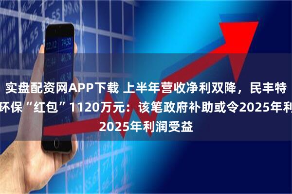 实盘配资网APP下载 上半年营收净利双降，民丰特纸喜收环保“红包”1120万元：该笔政府补助或令2025年利润受益